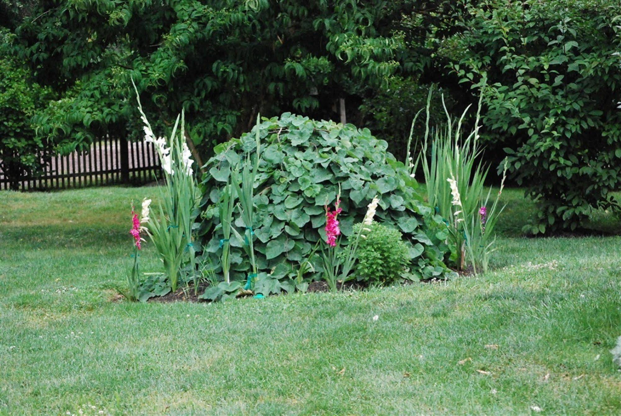 Wild Wisteria Bed & Breakfast Chadds Ford Exterior photo