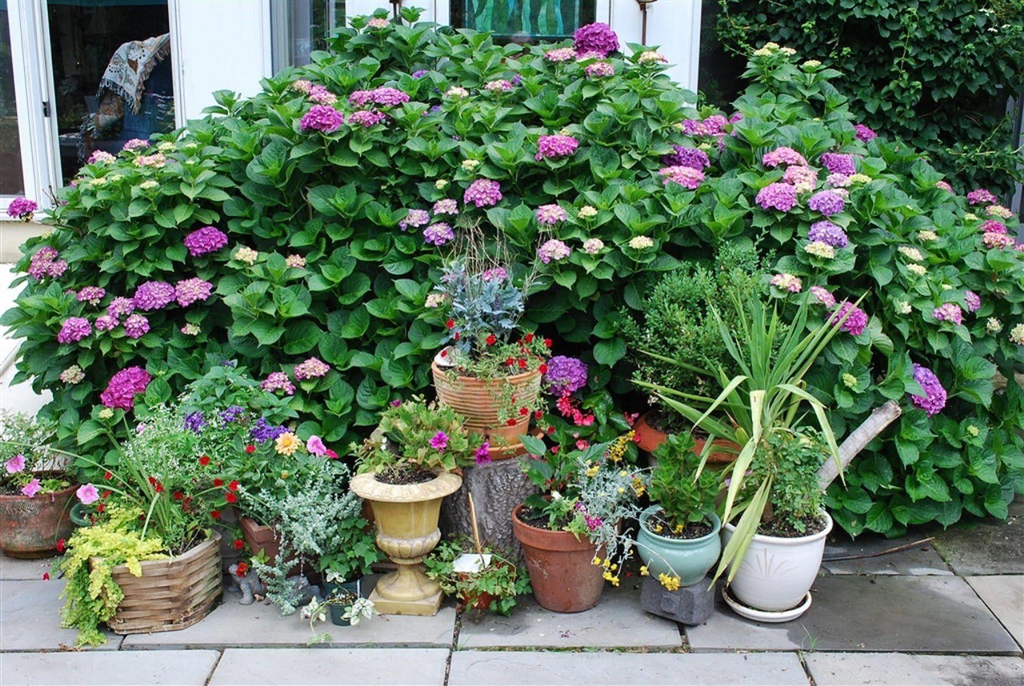 Wild Wisteria Bed & Breakfast Chadds Ford Exterior photo