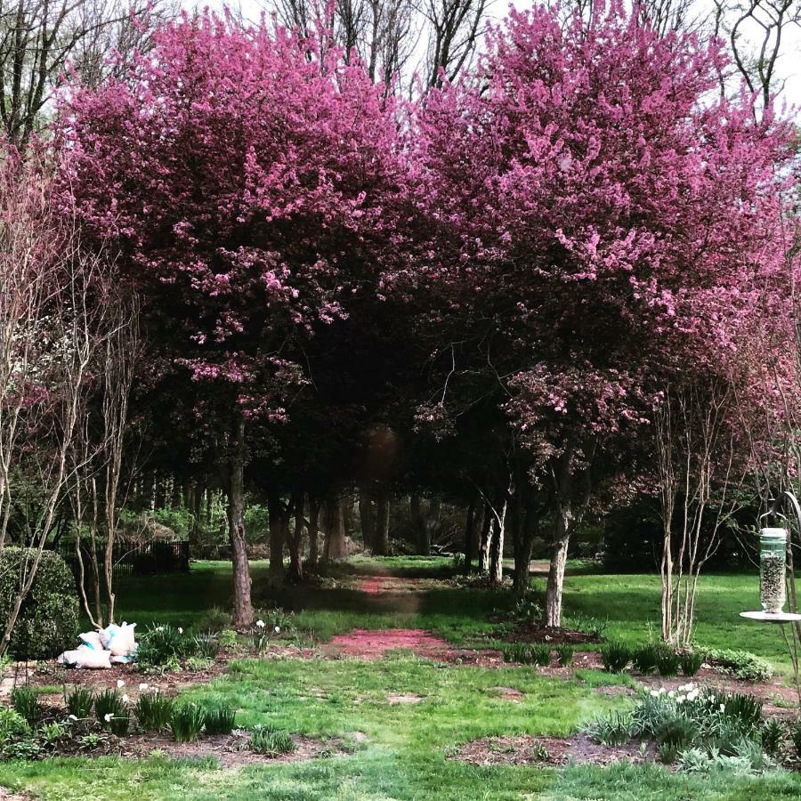 Wild Wisteria Bed & Breakfast Chadds Ford Exterior photo